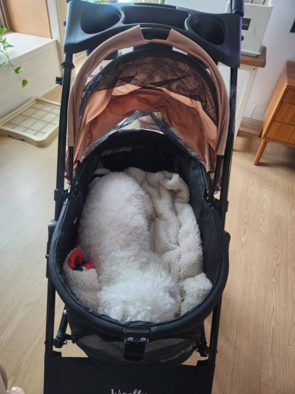 울리 이지 폴딩 강아지유모차 펫 쁘띠 개모차 후기