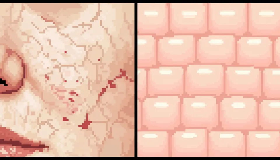 현미경으로 확대한 40대 여성의 건조한 피부 표면과 수분이 채워져 매끄러운 피부 장벽의 비교 이미지